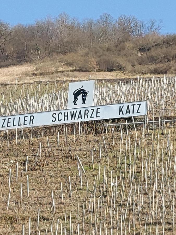 Fewo Siemens Mosel Zell an der Mosel Εξωτερικό φωτογραφία